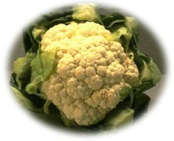 carbsmart_2201_29221512