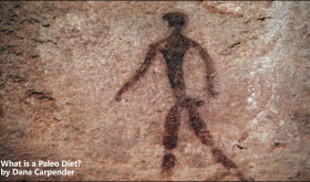 What is the Paleo Diet / Primal Diet? What is the Paleo Diet / Primal Diet?