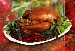 carbsmart_2201_17175789