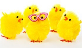 Susie T Gibbs Fluffy Chix Susie T Gibbs Fluffy Chix