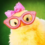 LargeBowChik_Headshot_Facebook_opt
