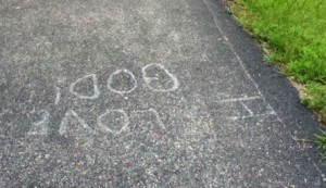 We saw this on the path while walking. We saw this on the path while walking.