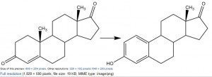 Conversion of Androstendione to Estrone via aromatase. Conversion of Androstendione to Estrone via aromatase.