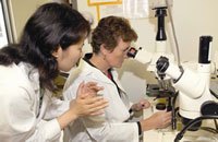 Among the physicians and scientist researching cancer at Baylor is a highly recognized recipient of the SPORE Grant from the NIH. Among the physicians and scientist researching cancer at Baylor is a highly recognized recipient of the SPORE Grant from the NIH.