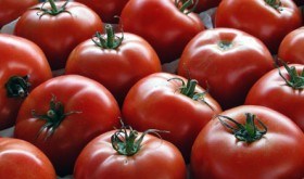 Summer's tomato bounty yields deep, intense flavor.