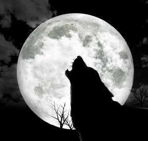 Bark at the Moon