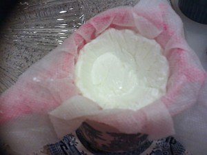 Make your own Greek Yogurt cheaply and easily!