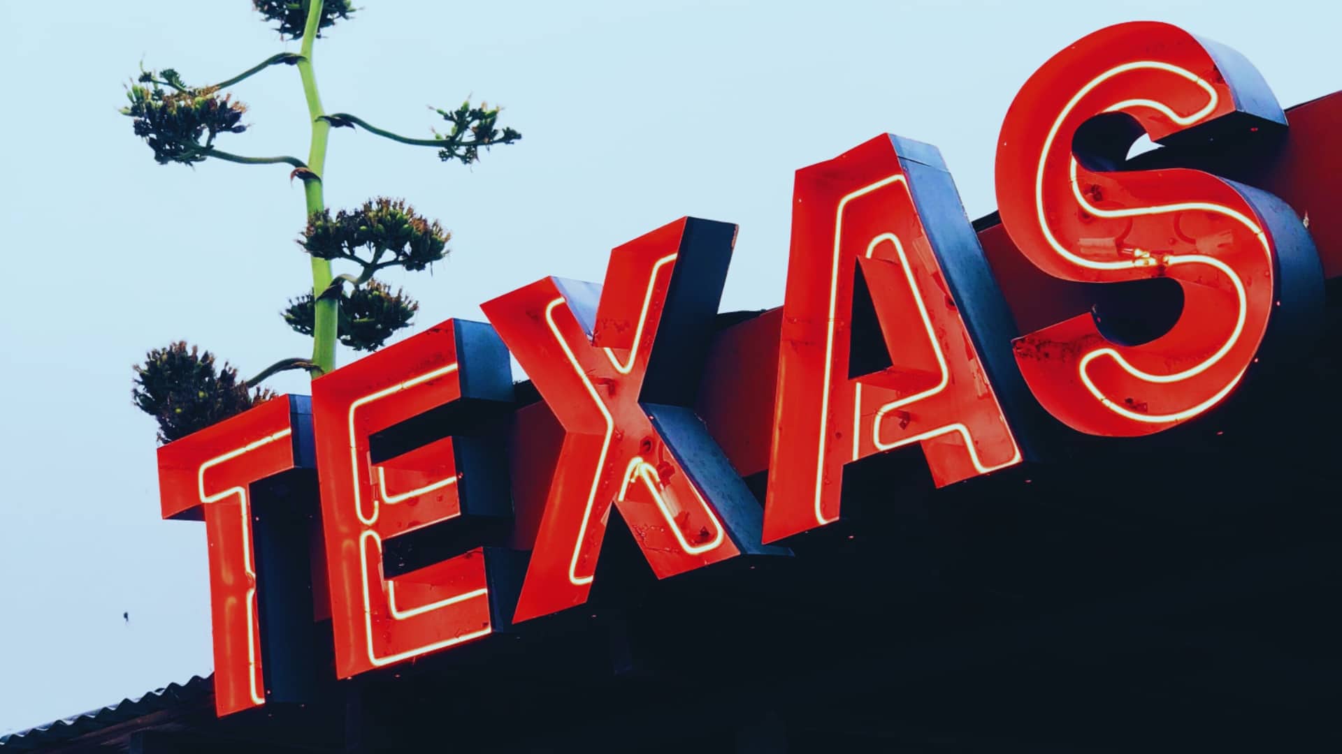 Texas Sign