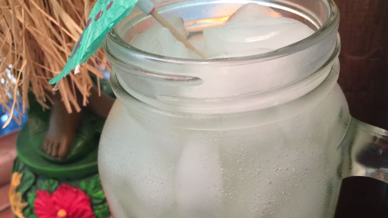 Low-Carb Margarita Fizz Sugar-Free Highball Recipe