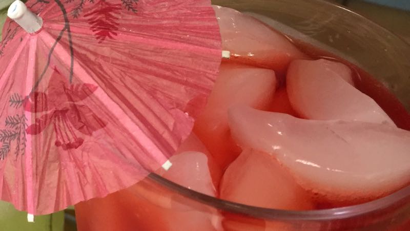 Low-Carb Pink Flamingo Fizz Sugar-Free Highball Recipe