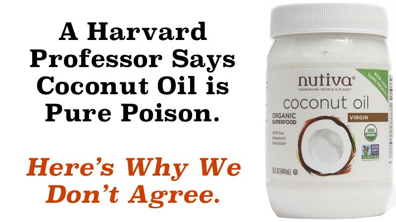 A Harvard Professor Says Coconut Oil is Pure Poison. Here's Why We Don't Agree.