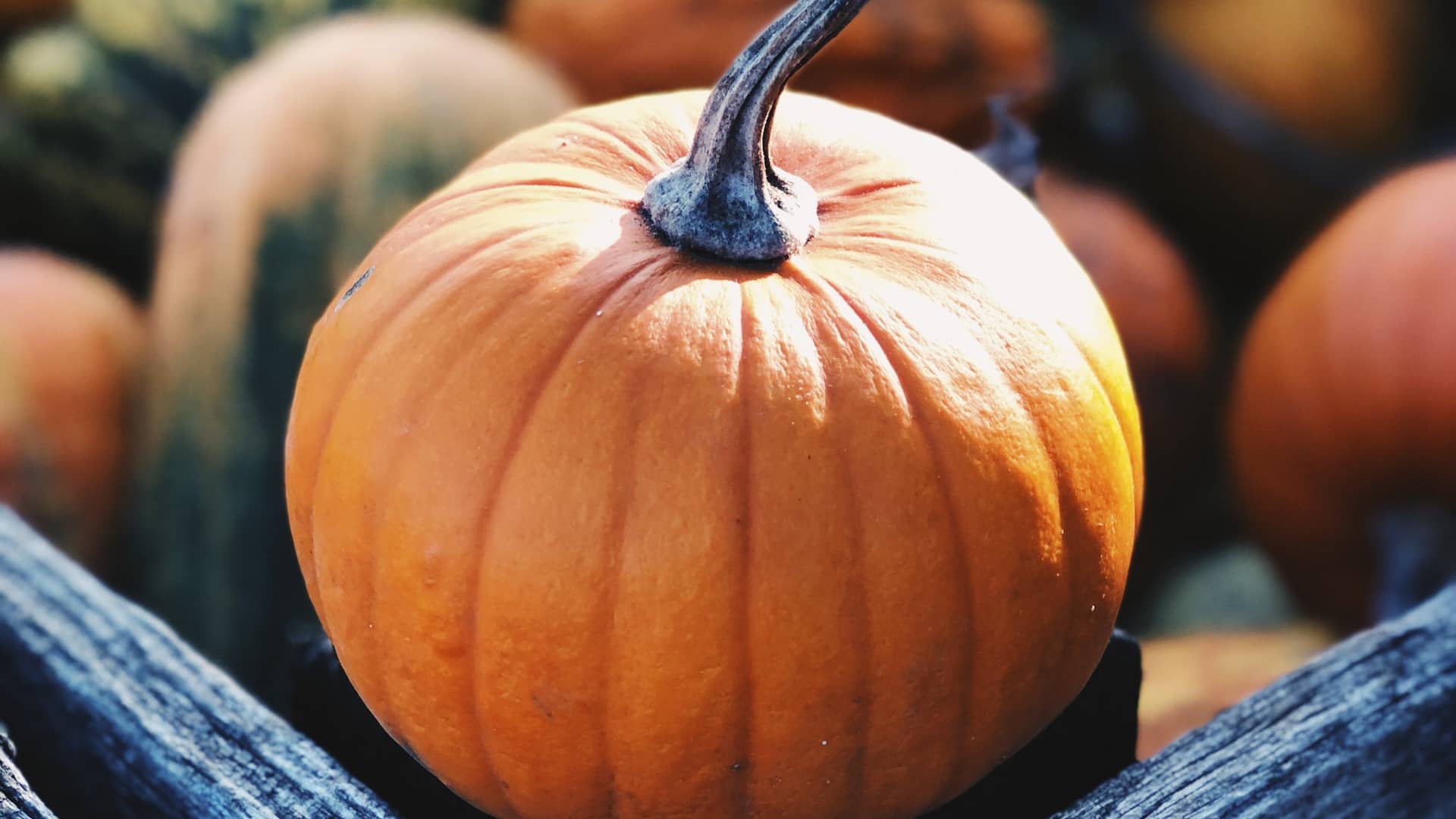 Low-Carb Small Pumpkin